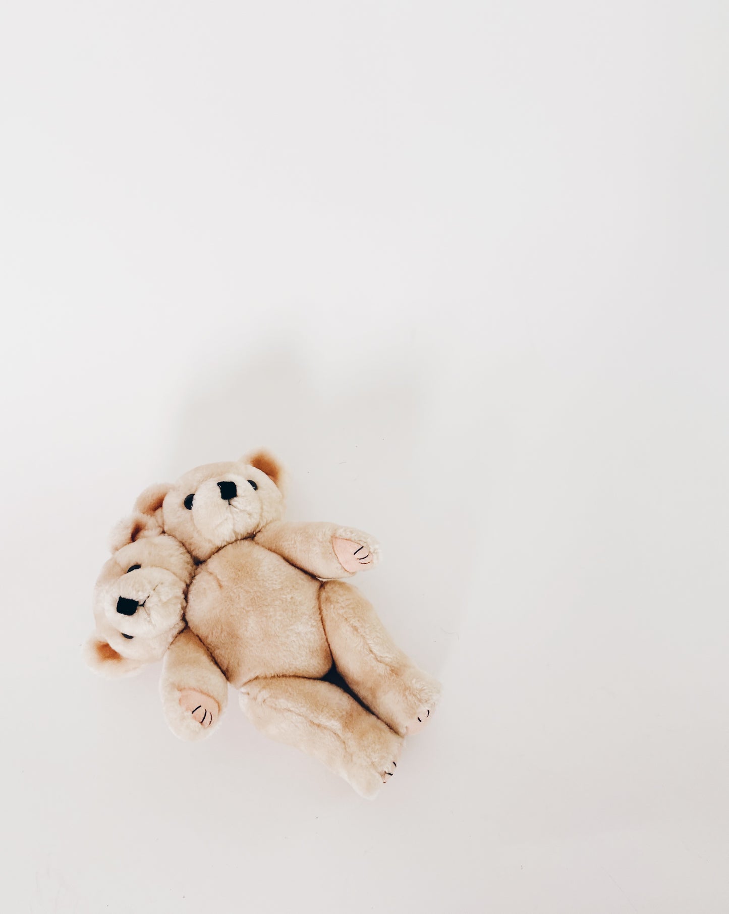 Two-Headed Upcycled Antique Teddy Bear – Haunted Coquette Plush, Ethereal Marute Toy Art, Spooky Collectible