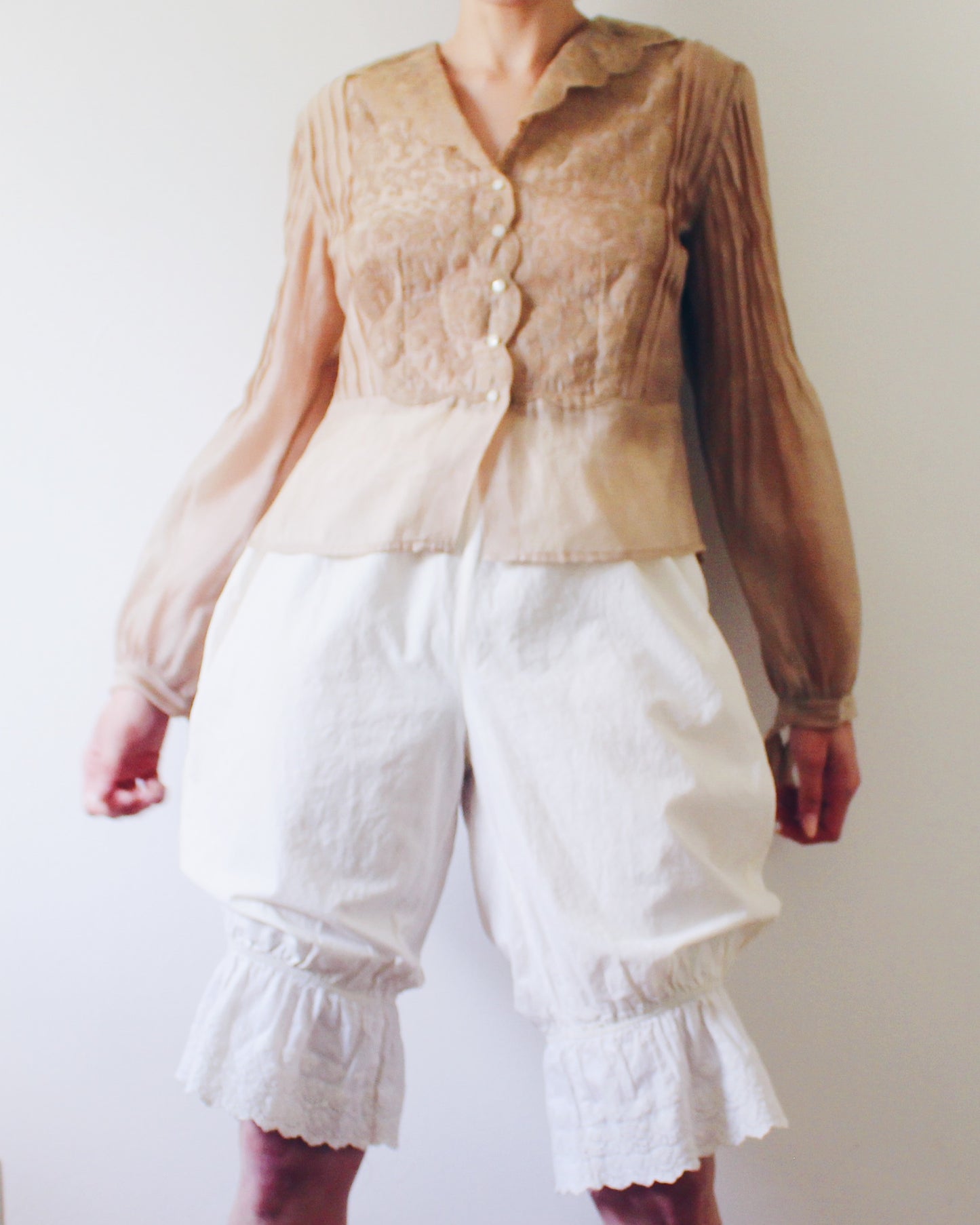 NIC+ZOE Tan Sheer Blouse Medium | Embroidered Floral Victorian Soft Goth Top | Micropleat Sleeve Scalloped Hem Button Up