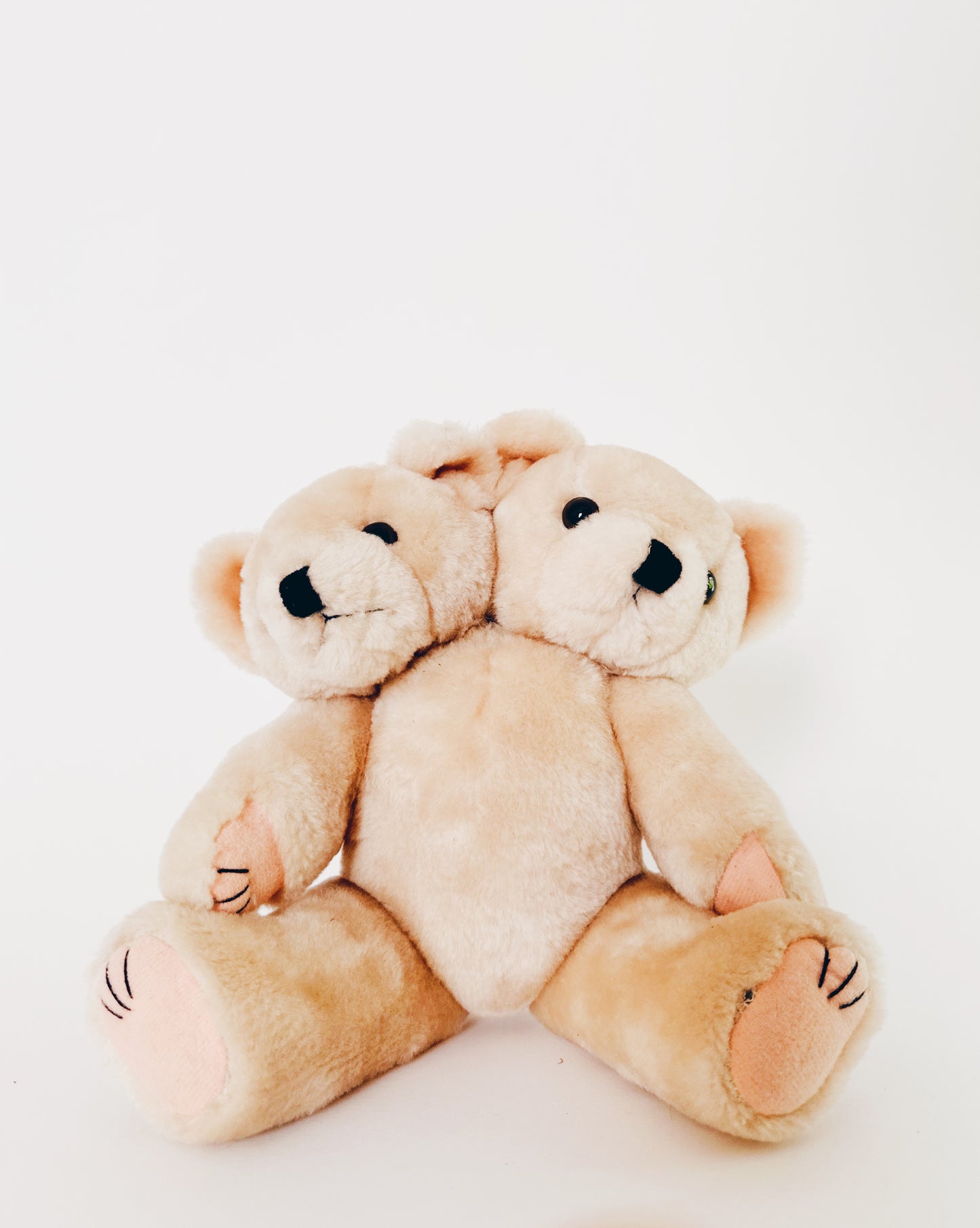 Two-Headed Upcycled Antique Teddy Bear – Haunted Coquette Plush, Ethereal Marute Toy Art, Spooky Collectible