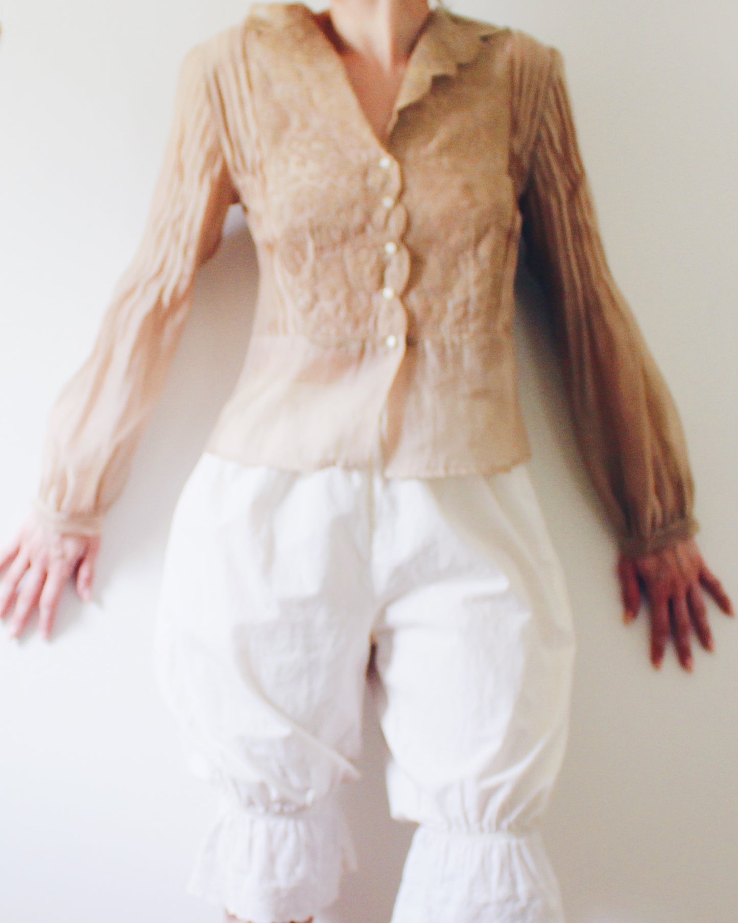 NIC+ZOE Tan Sheer Blouse Medium | Embroidered Floral Victorian Soft Goth Top | Micropleat Sleeve Scalloped Hem Button Up