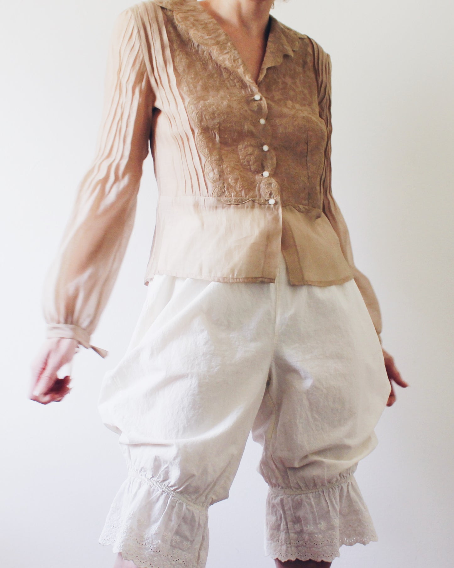 NIC+ZOE Tan Sheer Blouse Medium | Embroidered Floral Victorian Soft Goth Top | Micropleat Sleeve Scalloped Hem Button Up
