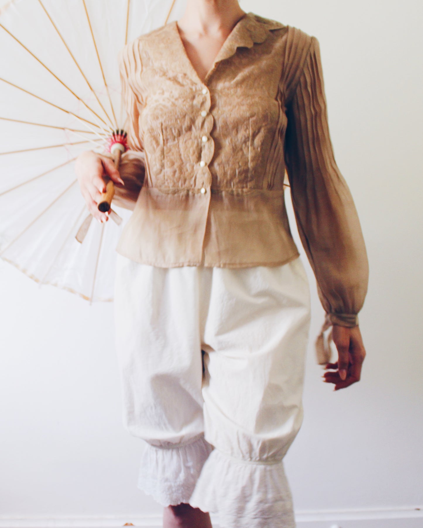 NIC+ZOE Tan Sheer Blouse Medium | Embroidered Floral Victorian Soft Goth Top | Micropleat Sleeve Scalloped Hem Button Up
