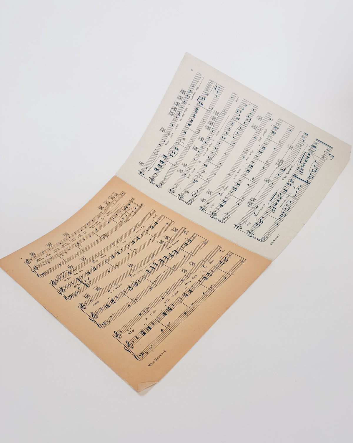 Vintage Sheet Music, Who Knows by Mort Dixon and Harry Woods, 1920s Couple Illustration, Antique Popular Song, Piano Music