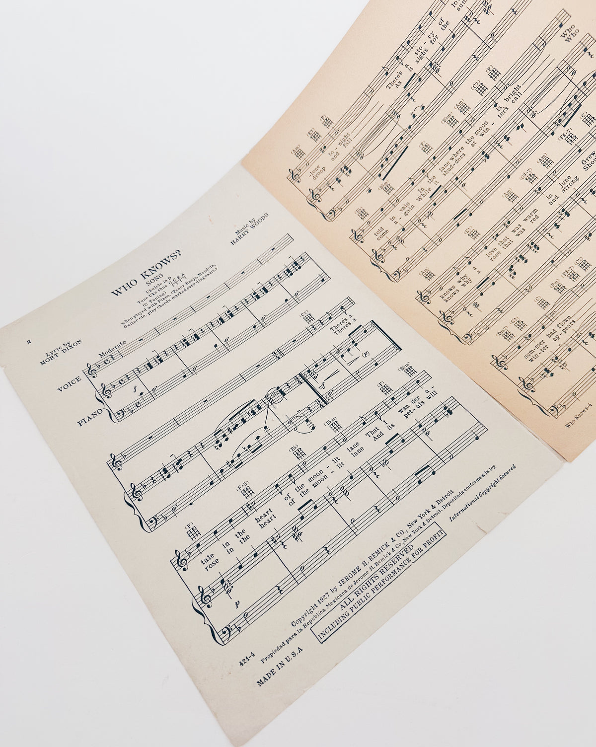 Vintage Sheet Music, Who Knows by Mort Dixon and Harry Woods, 1920s Couple Illustration, Antique Popular Song, Piano Music